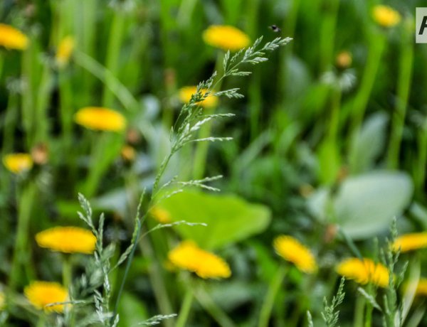 29 апреля в Павлодарской области не будет осадков