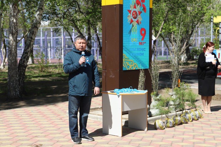 Павлодарда «Даңқ аллеясына» 80 түп ағаш отырғызылды