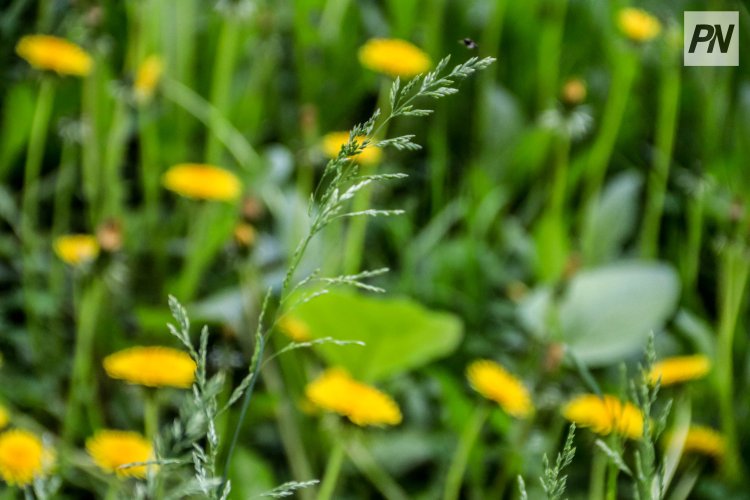 29 апреля в Павлодарской области не будет осадков