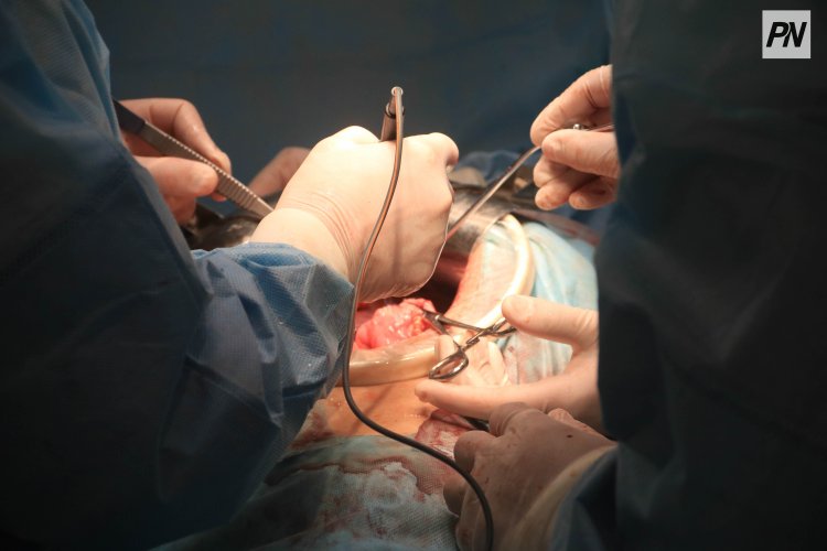 Донорлықтағы Павлодар үлесі: елдегі оталар саны рекордтық деңгейде