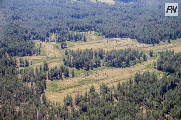 «Ертіс орманы» өрт қауіпті маусымға дайындықты күшейтті