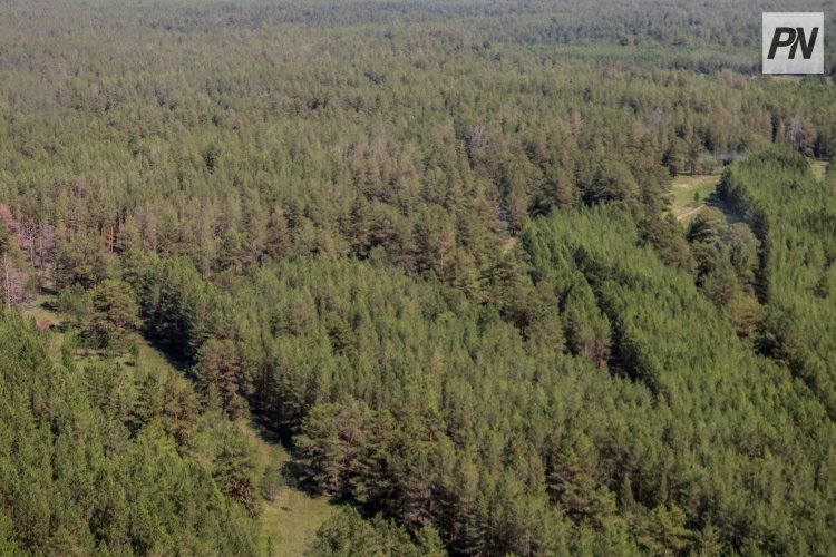 Павлодарлық ғалымдар орманшыларға жабайы жануарлардың құпиясын ашуға көмектесуде