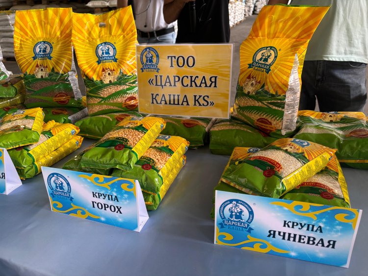 Шарбақты ауданында сұлы үлпегі өндірісі басталады
