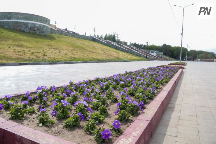 На павлодарской набережной восстановят поврежденные цветники