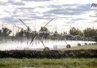 Суармалы алқаптар Успен ауданындағы шаруашылықтың өрісін кеңейтті