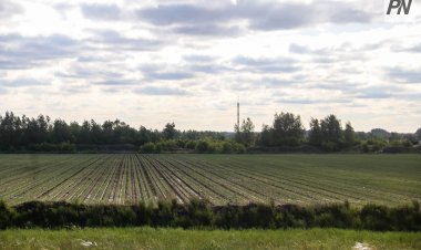 Тереңкөлде инвесторге жер беруден бас тартқаны үшін екі шенеунік жазаланды