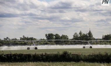 Аграрный прорыв: в Павлодарской области запускают крупные инвестиционные проекты