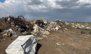 Экологтар павлодарлықтарды қоқыс жиналатын орындар туралы шағымдануды сұрайды