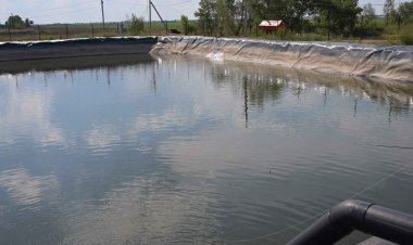 Асайын Байханов Ертіс-Успен каналының жаңғыртылуын бақылауға алды
