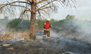 Павлодарда өрт сөндірушілер бау-бақша аумағындағы құрғақ шөп өртін сөндірді