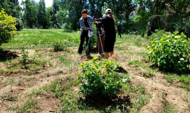 Жасыл болашаққа бірге қадам: Павлодарда «ЭКО серуен» жобасы  жүзеге асырылуда