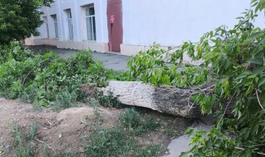 Жительница Экибастуза получила перелом бедра во время урагана