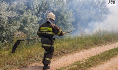 «Ертіс орманы» резерватында тілсіз жаудың алдын алу шаралары күшейтілді
