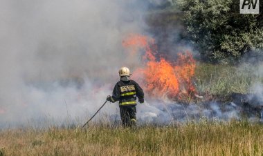 Павлодар облысында дала өрті орманға жетпей ауыздықталды
