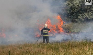 Павлодар облысында дала өрттері қандай себептерге байланысты туындайды?