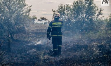 Өртпен күрес аяқталды: «Ертіс орманы» резерваты қауіпті маусымнан аман өтті