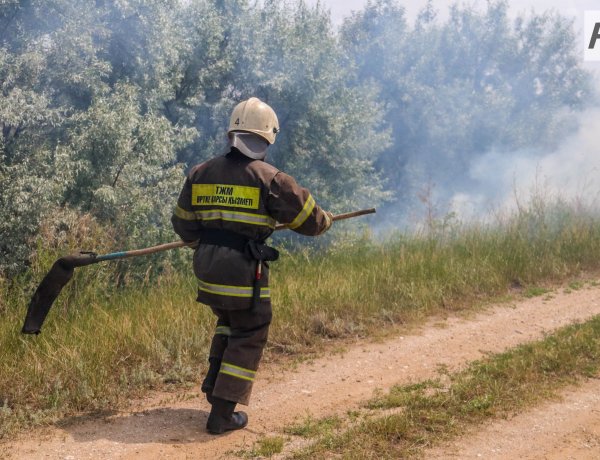 «Ертіс орманы» резерватында тілсіз жаудың алдын алу шаралары күшейтілді