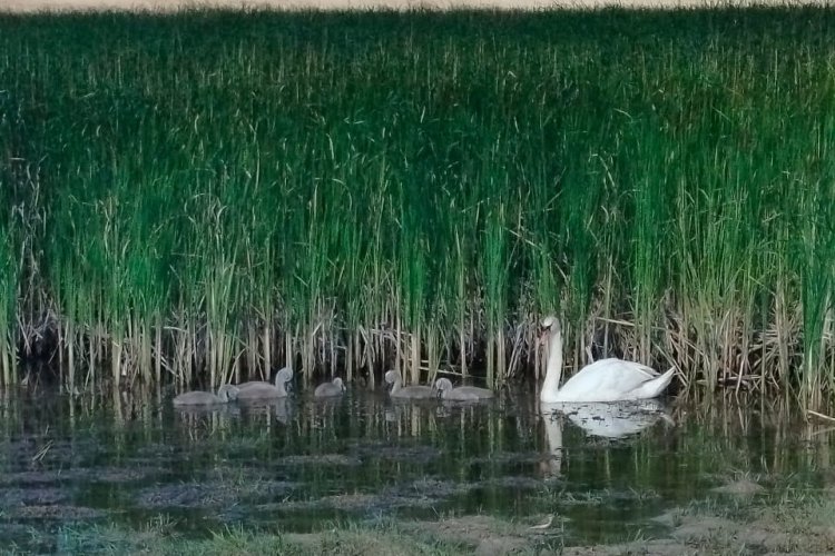 Қыздар камераға түсіп жатыр