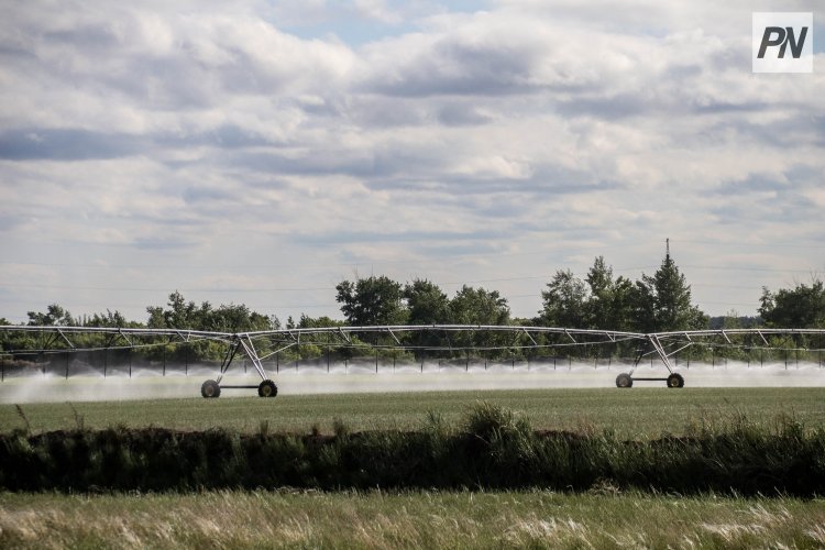 Аграрный прорыв: в Павлодарской области запускают крупные инвестиционные проекты