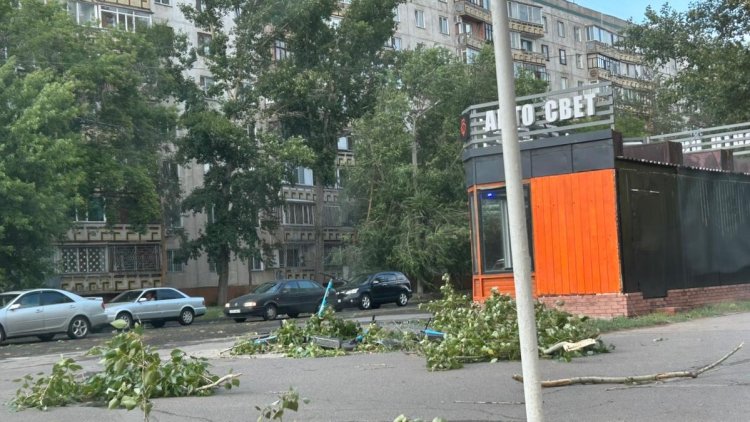 В Аксу дерево упало на ребенка