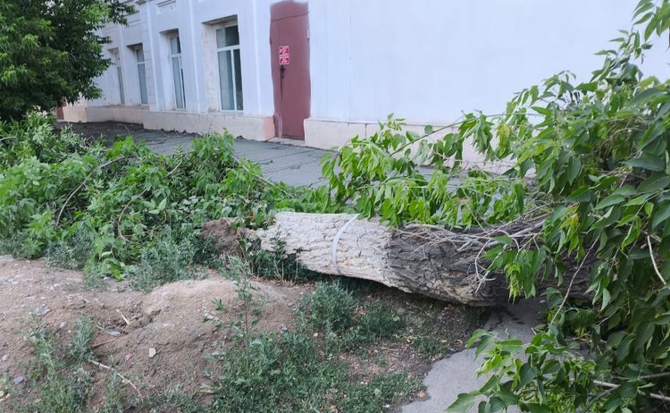 Жительница Экибастуза получила перелом бедра во время урагана