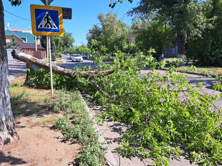 Как Экибастуз и Аксу восстановят после урагана