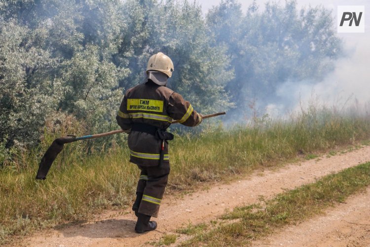 «Ертіс орманы» резерватында тілсіз жаудың алдын алу шаралары күшейтілді