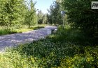 Павлодарда EcoLife «Big Пикник» экологиялық слеті өтеді