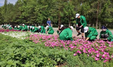 Павлодар облысында жастар көгалдандыруға кірісті