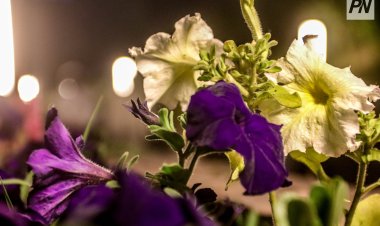 Сентябрь в Павлодарской области начнётся заморозками