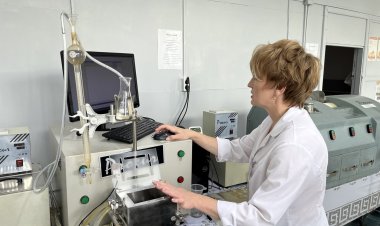 Ертіс бидайы мен түрік технологиясы ең жақсы ұн шығарды
