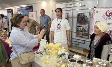 Викинг ірімшігі Железин ауданында жасала бастады