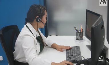 Налоговики назвали ТОП-3 самых популярных услуг среди павлодарцев
