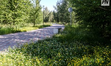 Павлодарда EcoLife «Big Пикник» экологиялық слеті өтеді