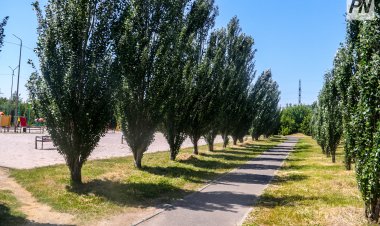Павлодар облысында абаттандыру жұмыстары күшейтіледі