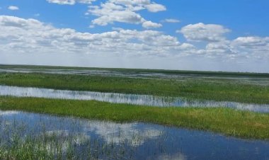 В Павлодарской области природоохранные попуски помогли обводнить лиманы