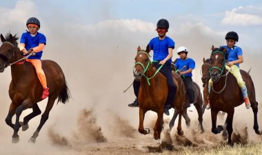 Скакун из Астаны выиграл престижную дистанцию в Павлодаре