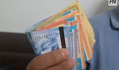 Түркістанда прокурорлар АӘК алу үшін жалған қорытындылар жасалғанын анықтады