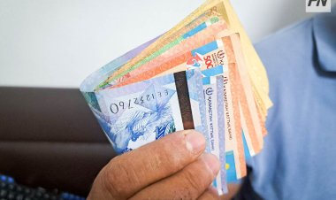 Жизнь на минимум: статистики подсчитали необходимые расходы павлодарцев