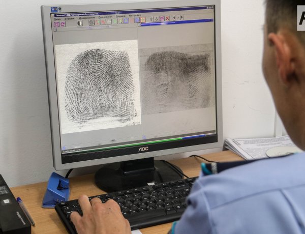 Павлодар облысында кәмелетке толмағандардан құралған қылмыстық топтың әрекеті тоқтатылды