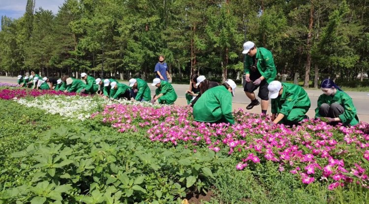 Павлодар облысында жастар көгалдандыруға кірісті