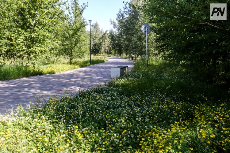 Павлодарда EcoLife «Big Пикник» экологиялық слеті өтеді