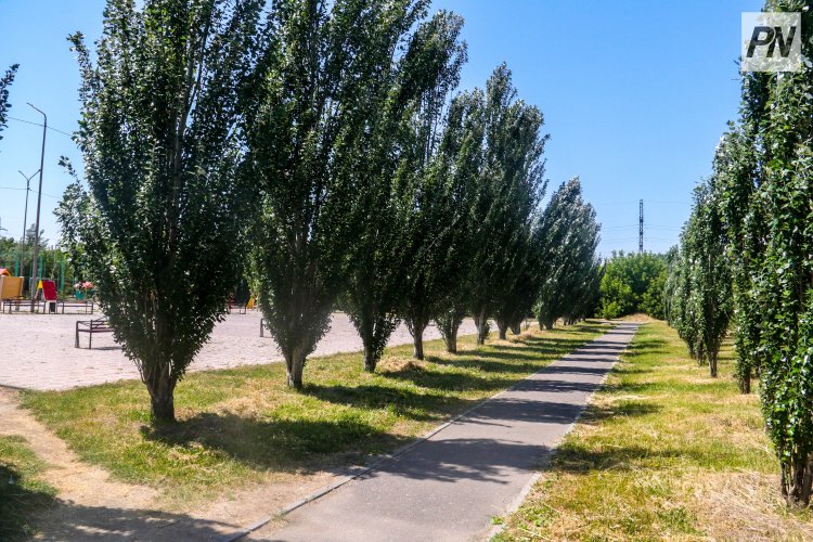 Павлодар облысында абаттандыру жұмыстары күшейтіледі