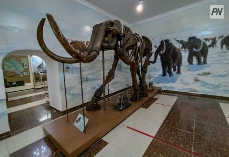 Павлодарда «Қаз қонақтың» 100 жылдығына арналған халықаралық конференция өтеді