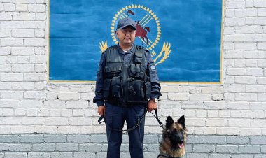 Павлодарда иісшіл ит жоғалып кеткен екі қызды тапты