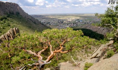 Баянауыл ұлттық табиғи паркіне 40 жыл толып отыр