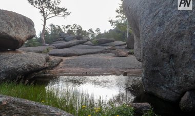 Асаин Байханов призвал жестко наказывать вредителей природы