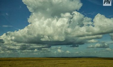 Циклон принёс дожди в Павлодарскую область