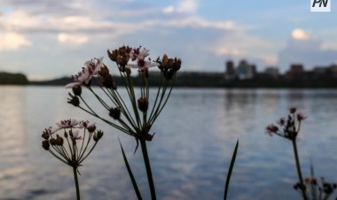Сенбіде Павлодар облысында дауыл соғады