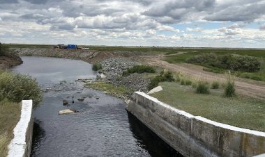 Павлодарлықтар Шідерті лиманды суару жүйесінің каналдарын тазартады